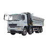 Sanitation Pure Electric Giant Dump Truck