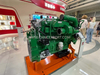FARIZON 410HP CNG Marine Engine